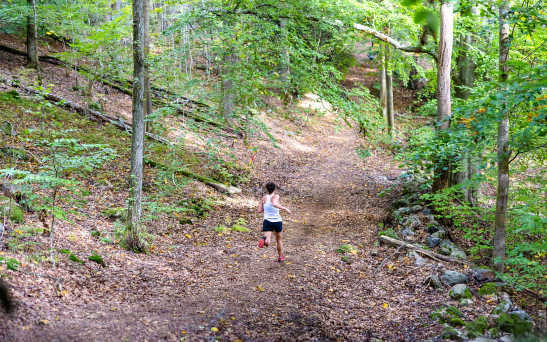 24 km – ny distans i Rya Åsar Trail Run 2025
